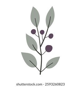Berries. Cute illustration, vector, color, simple. Cartoon, flat. Isolated on white background