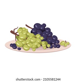 Berries of dark and light grapes on branch lie on plate. Sweet healthy food, tasty dessert or snack. Vector flat illustration