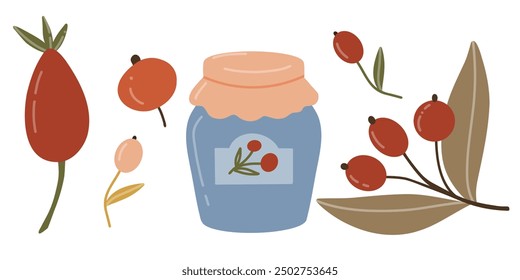 Berries of different shapes and colors with branches and leaves. Vector illustration in flat style. Elements for autumn design for harvest festival, food. Fruits of berries of red and peach color.