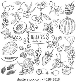 Berries doodle set. Big collection of healthy food isolated on white background. Vector hand drawn illustration. 