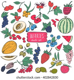 Berries doodle set. Big collection of healthy food isolated on white background. Vector hand drawn illustration. 
