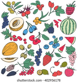 Berries doodle set. Big collection of healthy food isolated on white background. Vector hand drawn illustration.