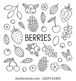 Berries doodle set. Strawberries, raspberries, gooseberry, blueberries, cherry,  blackberries in sketch style.  Vector illustration isolated on white background.