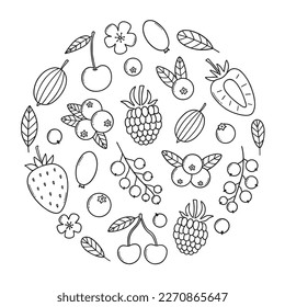 Berries doodle set. Strawberries, raspberries, gooseberry, blueberries, cherry, blackberries in sketch style.  Vector illustration isolated on white background.