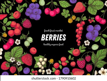 Berries drawing collection. Hand drawn berry. Vector illustration. Food design template with berry. Strawberries, raspberries, blueberries, cranberries, currants, cherries, lingonberries.