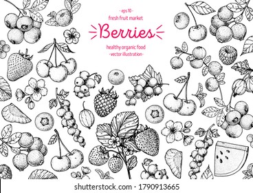 Colección de dibujos de bayas. Esbozo de bayas dibujado a mano. Ilustración vectorial. Plantilla de diseño de alimentos con berry. Arándanos, fresas, cerezas, grosellas, arándanos, arándanos, arándanos, arándanos, frambuesas, agua