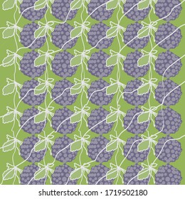 
Berries of Eleutherococcus. Abstraction. Vector stock graphics.