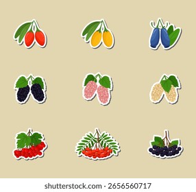 Beeren flach Design - Obst-Aufkleber. Vektorgrafiken. Obstgarnitur