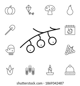 Berries flaches Vektorsymbol im Herbstpaket