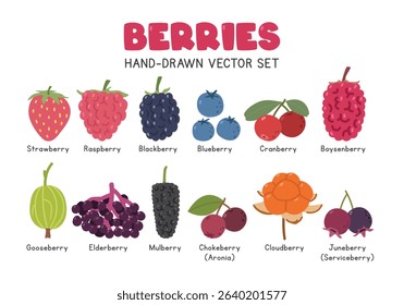 Berries flat vector illustration set in cartoon clipart style. Strawberry, raspberry, blackberry, blueberry, cranberry, boysenberry, gooseberry, elderberry, mulberry, chokeberry, cloudberry, juneberry