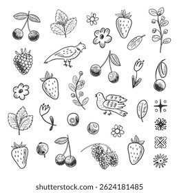 Berries flowers and birds doodle spring simple vector line illustrations set