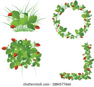 Berries, flowers and leaves of strawberries in the form of a wreath and three compositions