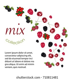 Berries Frame with text . Mix collection.