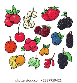 berries fruit fresh healthy nutrition handdrawn doodle illustration nature