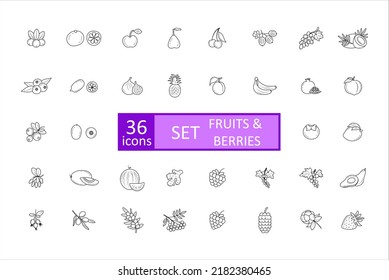 Berries and fruit icon set. Simple concise images of  with names. Collection of icons in outlines.  Grapes, barberry, orange, lemon, apple, banana, strawberry, mulberry and others. Vector, eps