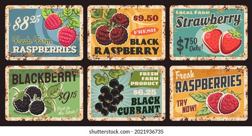 Berries, fruit market food metal rusty plates and price cards, vector retro posters. Farm garden black raspberry, strawberry, blackberry and blackcurrant berries harvest, metal plates with rust