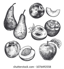 Berries and fruit set. Realistic apple, pear, persimmon, nectarine, peach isolated on white background. Hand drawing sketch. Vintage engraving. Black and white. Vector.