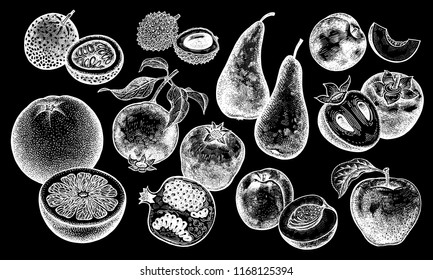 Berries and fruit set. Realistic grapefruit, peach, pomegranate, apple, pear, persimmon, nectarine, passion fruit, lychee isolated. Hand drawing. Vintage. White chalk on black board. Vector.