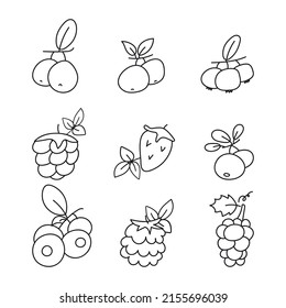 berries and fruite stroke vector illustration set