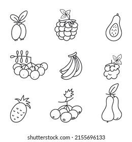 berries and fruite stroke vector illustration set