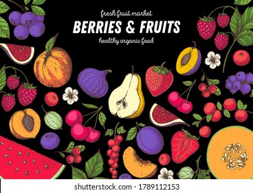 Berries and fruits drawing collection. Hand drawn berry. Vector illustration.  Watermelon, melon, raspberry, strawberry, pear, cherry, blueberry, cranberry, plum, fig, peach, currant, gooseberry.