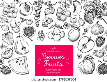 Berries and fruits drawing collection. Hand drawn berry sketch. Vector illustration. Engraved style.