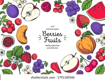 Berries and fruits drawing collection. Hand drawn berry. Vector illustration. Blueberry, raspberry, strawberry, fig, apple, lingonberry, peach, apricot, cranberry, slice of watermelon