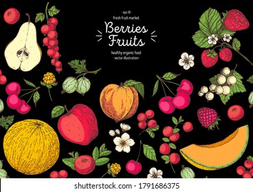 Berries and fruits drawing collection. Hand drawn berry. Vector illustration. Strawberry, apple, currant, melon, peach, cranberry, cherry, pear, raspberry, gooseberry illustration.