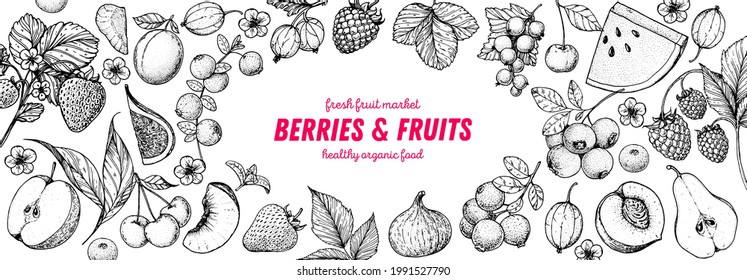 Berries and fruits drawing collection. Hand drawn berry sketch. Vector illustration. Set of various fruits and berries