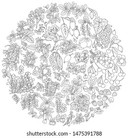 Berries, fruits hand drawn vector doodles illustration. Nature and food elements and objects cartoon round background
