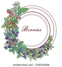 Berries and fruits hand drawn vector doodles illustration. Nature and food elements and objects cartoon background. Round frame design