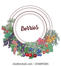 Ilustración de doodles vectoriales dibujados a mano con bayas y frutas. Naturaleza y elementos alimentarios y objetos caricatura de fondo. Diseño de marco redondo