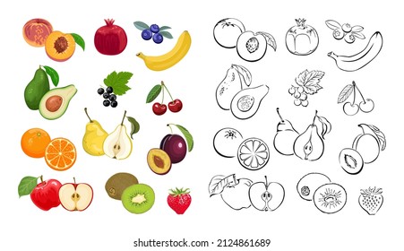 Iconos vectoriales de bayas y frutos. Dibujos planos de dibujos animados de colores e ilustraciones generales.