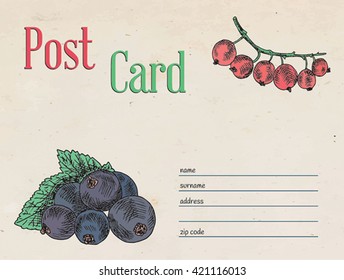 berries garden, black currant berry and red currant berry postcard