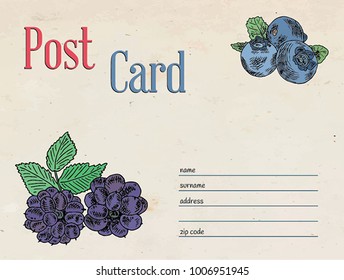 berries garden postcard envelope template design and illustration blackberry and blueberry