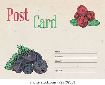 berries garden postcard envelope template design and illustration black currant berry and cranberry