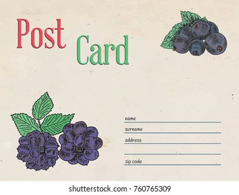 berries garden postcard envelope template design and illustration 
blackberry and black currant berry