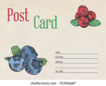 berries garden postcard envelope template design and illustration blueberry and red currant berry
