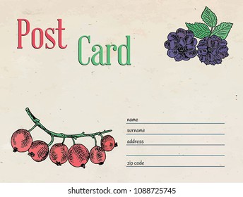 berries garden postcard. Template design of envelope and illustration of red currant berry and blackberry