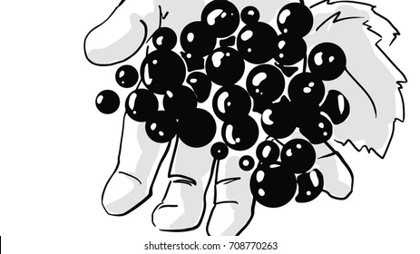 berries in hand black and white drawing, vector sketch
