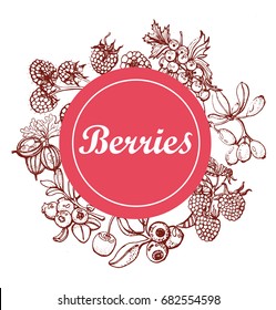 berries hand drawing,vector illustration , white background