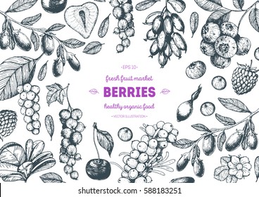 Berries hand drawn, vector illustration frame. Hand drawn sketch illustration with goji berries, buckthorn, cherry, currant, raspberry, strawberry. Healthy food design template with berries