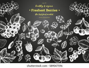 Berries hand drawn vector illustration frame. Healthy food design template with berries