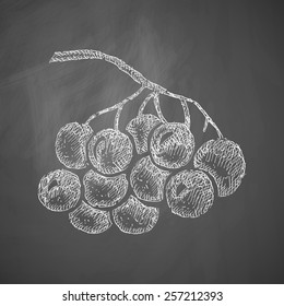 berries icon