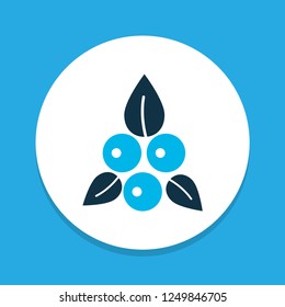 Berries icon colored symbol. Premium quality isolated blueberry element in trendy style.
