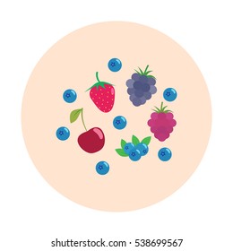 Berries icon. Flat design