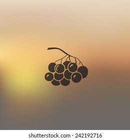 berries icon on blurred background