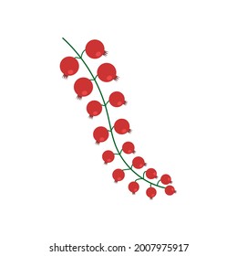 Berries icon. Red currants. Vector graphics