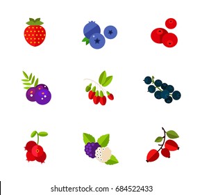 Berries icon set