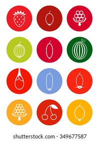 Berries icon set in bright tones